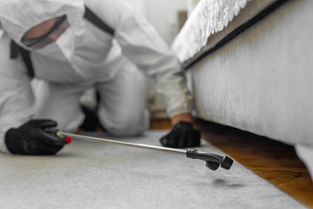 Professional Termite Control technician working in Des Peres, MO