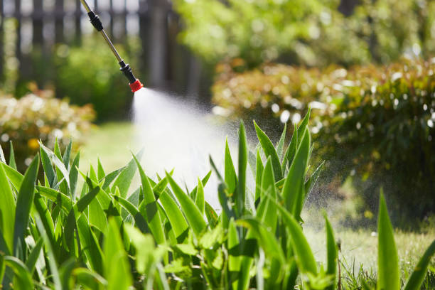 24/7 Emergency Termite Control experts in Des Peres, MO
